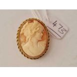 A cameo brooch in 9ct frame - 7.9 gms