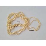Two pearl necklaces one with 9ct clasp