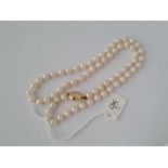 A single row of pearls with 18ct gold clasp