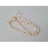 Single row of pearls with clasp