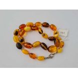 A string of graduated oval amber beads 19 inches - 26.8 gms