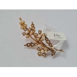 A antique Edwardian 15ct gold marked half pearl set flower brooch