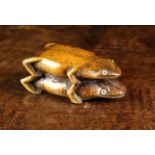 An Unusual 18th/Early 19th Century Carved Fruitwood Mating Frogs Snuff Box.