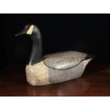 A Large Early 20th Century Carved & Painted Decoy Model of a Canadian Goose with glass inset eyes,