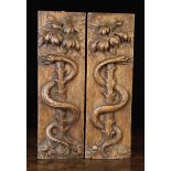A Pair of 18th Century Relief Carved Panels; each depicting a tree entwined by a serpent,