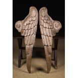 A Pair of Late 18th Century Carved Wooden Angel Wings, possibly French, 39½" (100 cm) in length,