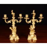 A Pair of French 19th Century French Rococo Gilt Bronze Candelabra.