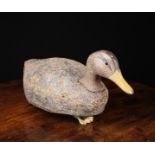 A 19th Century Decoy Duck having a finely painted head inset with glass eyes,