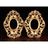 A Pair of Small 19th century Florentine Style Open Carved Picture Frames.