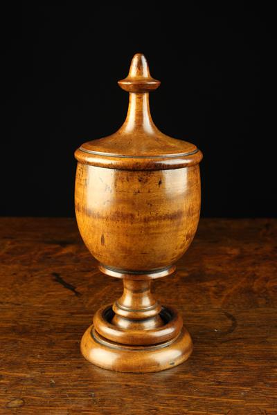 A Fine 19th Century Lidded Pedestal Spice Jar incorporating an integral ring encircling the stem, - Image 3 of 4