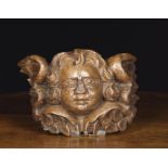 A Late 17th Century English Oak Cherub's Head Corbel carved with curly hair and feathery wings,