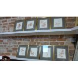 A set of four framed limited edition wildlife prints by William Garfit, frame size 37cm x 32cm and a
