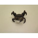 A bronze crab - Width 6cm