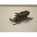 A bronze beetle - Length 11cm