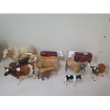 Nine Beswick cattle, Highland Bull and Calf, Hereford Bull and Cow, Charolais Bull Connoisseur