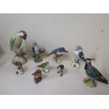 Nine Beswick birds - Lesser Spotted Woodpecker, Kingfisher, Kookaburra, Lapwing, Robin,