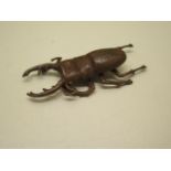 A bronze beetle - Length 7cm