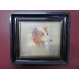 An oil on canvas board of a Collie dog possibly signed D H Bremman 1921 in an ebonised frame -