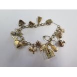 A 9ct yellow gold charm bracelet with 18 charms, total weight approx 27 grams, clasp working and