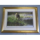 David Shepherd, signed limited edition print, The Bandipur Tiger, 333/350 in gilt frame, good