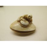 A carved 19th century / early 20th century ivory Netsuke figure on clam shell, 3cm x 4cm