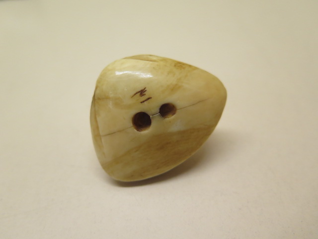 A carved 19th century / early 20th century ivory Netsuke figure on clam shell, 3cm x 4cm - Image 3 of 3