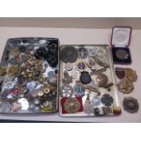 A collection of assorted military badges, buttons and an Acme Thunderer whistle
