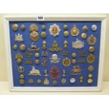 A framed collection of military badges including Royal Scots, Cambridgeshire Reg, 54 in total