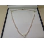 A single string of pearls, 46cm long, with a 9ct gold clasp, pearls approx 5mm diameter