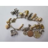 A gold and silver charm bracelet with 19 charms, gold charms believed to be 9ct, total weight approx