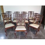 A set of twelve Georgian style dining chairs including two carvers with stripped seats on ball and