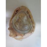 A carved cameo conch shell with classical design, 16.5cm long, generally good condition