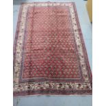 A hand knotted woollen Araak rug, 2.10m x 1.36m, in good condition