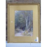 A watercolour, Woodland walk, Henry Measham RCamA 1844-1922 (Exh, RCamA, AR, RI, Walker Gallery,