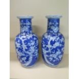 A pair of Chinese 19th century blue and white prunus vases each hand painted with two prunus trees