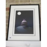 A Peter Smith signed giclee print 2005 entitled A Fools Moon, 269 of 295, frame size 71cm x 57cm, in