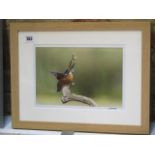 A L Munro signed photographic print of a Kingfisher, frame size 44cm x 35cm, printed on archival