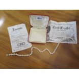 A string of Ciro cultured pearls with a 9ct hallmarked clasp, 48cm long, pearls 6mm, generally good