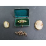 Two 9ct yellow gold brooches and two 9ct mounted cameo brooches, total weight approx 18.3 grams