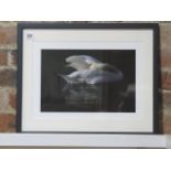 A photographic print of a swan on water, frame size 43cm x 53cm, printed on archival paper on acid