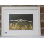 A photographic print of a Barn owl in flight, frame size 34cm x 44cm, printed on archival paper on