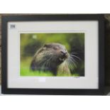 An L Munro signed photographic print of an otter, on archival paper, acid free mount, conservatory