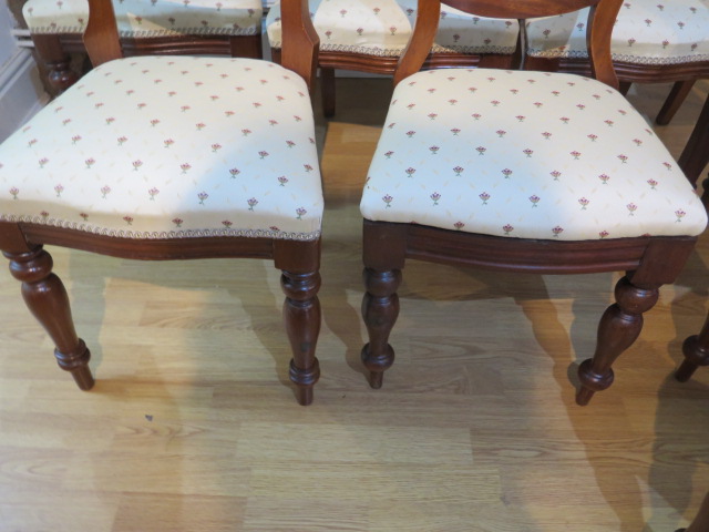 A matched set of eight (6 + 2) Victorian mahogany balloon back dining chairs with reupholstered - Image 2 of 3