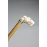 λ A LATE VICTORIAN IVORY HANDLED WALKING CANE LATE 19TH / EARLY 20TH CENTURY the handle carved in