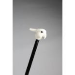 λ AN IVORY HANDLED WALKING CANE EARLY 20TH CENTURY finely carved with the head of a parrot, with