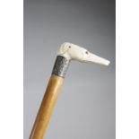 λ A LATE VICTORIAN IVORY HANDLED WALKING CANE C.1870-80 in the form of a greyhound or whippet's