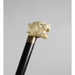 λ A LATE VICTORIAN IVORY HANDLED WALKING CANE C.1880 carved in the form of a snarling bulldog's