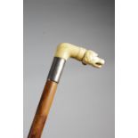 λ A VICTORIAN IVORY HANDLED WALKING CANE C.1890 carved with a retriever dog's head, wearing a collar