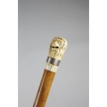 λ A GEORGE III IVORY HANDLED WALKING CANE C.1780-90 AND LATER the pommel carved with a lion's