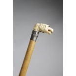 λ AN EARLY VICTORIAN IVORY HANDLED CANE C.1850 carved with a retriever dog's head, with matted hair,